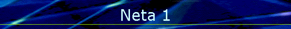 Neta 1