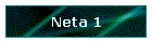 Neta 1